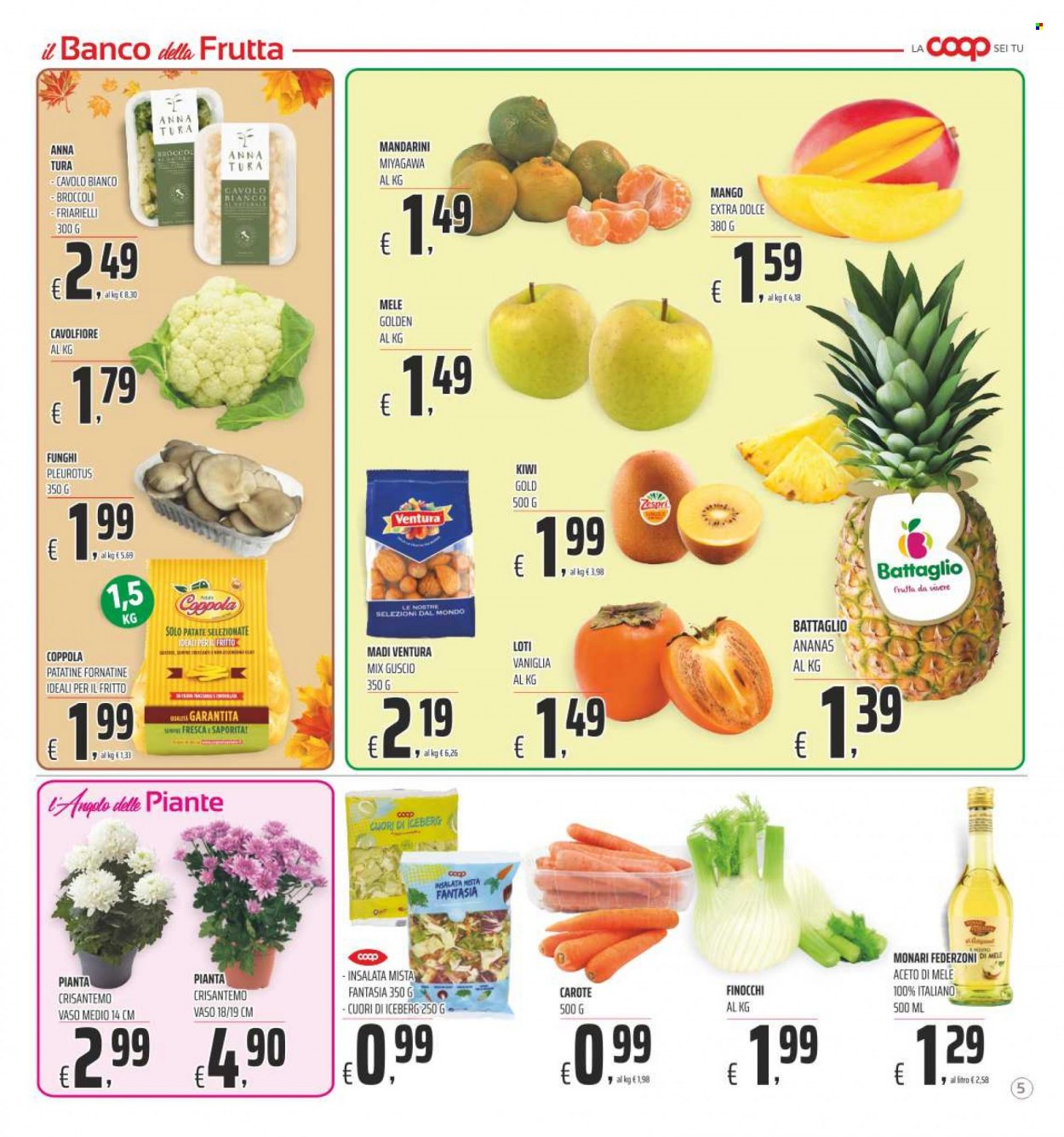 Leták Coop - 11.10.2023 - 21.10.2023. Strana 5