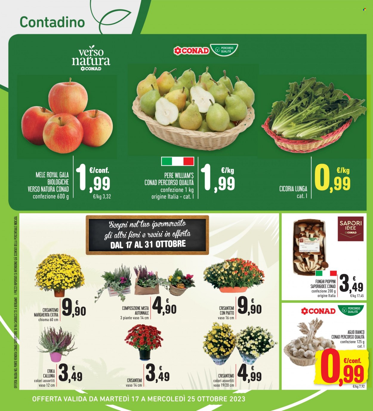 Volantino Conad Superstore - 17/10/2023 - 25/10/2023. Pagina 30