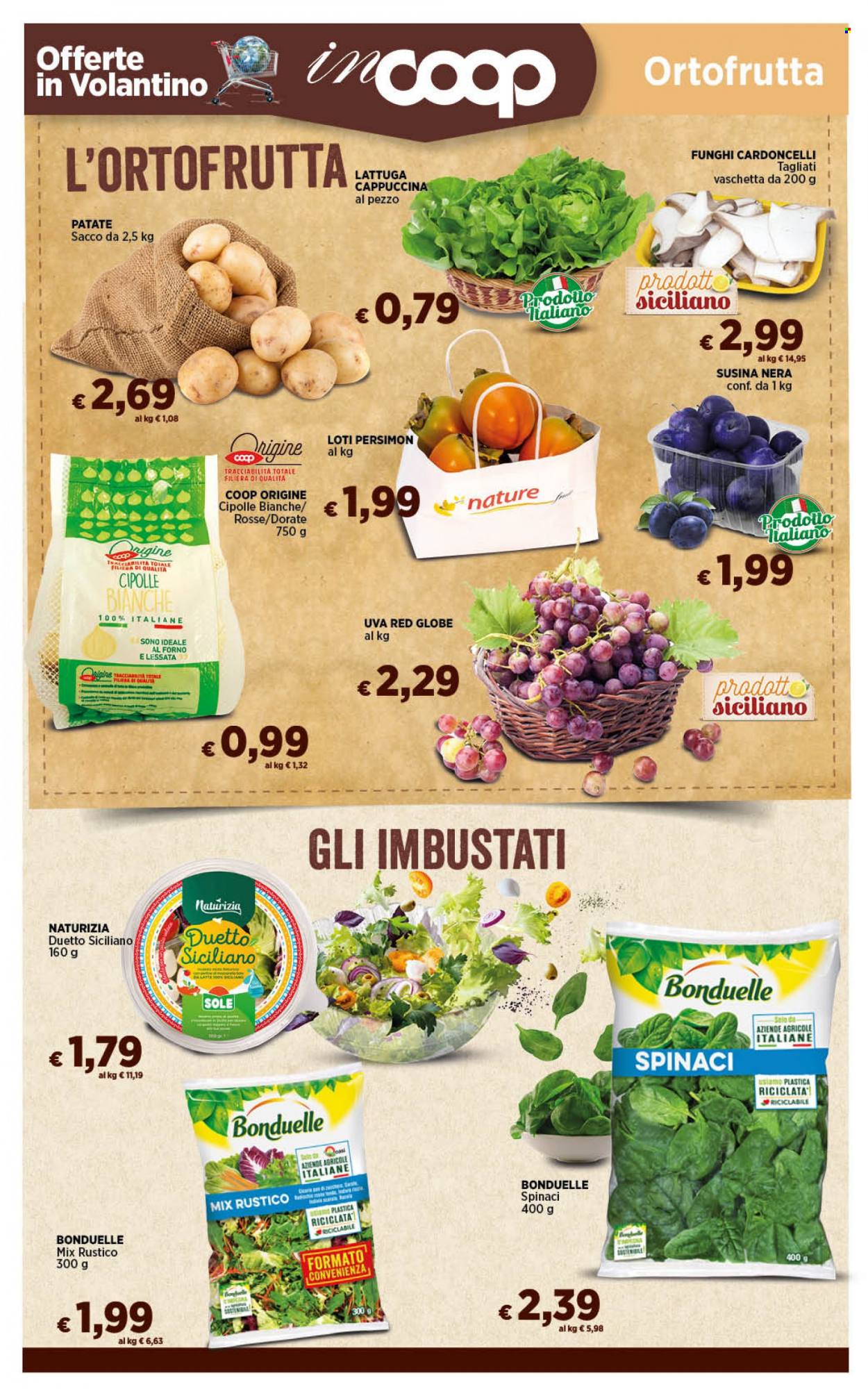 Volantino Coop - 17/10/2023 - 26/10/2023. Pagina 10