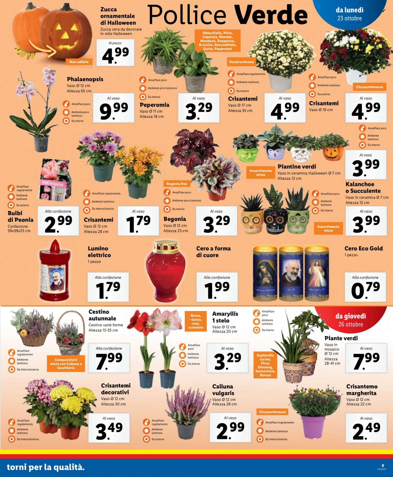 Volantino Lidl - 23/10/2023 - 29/10/2023. Pagina 9