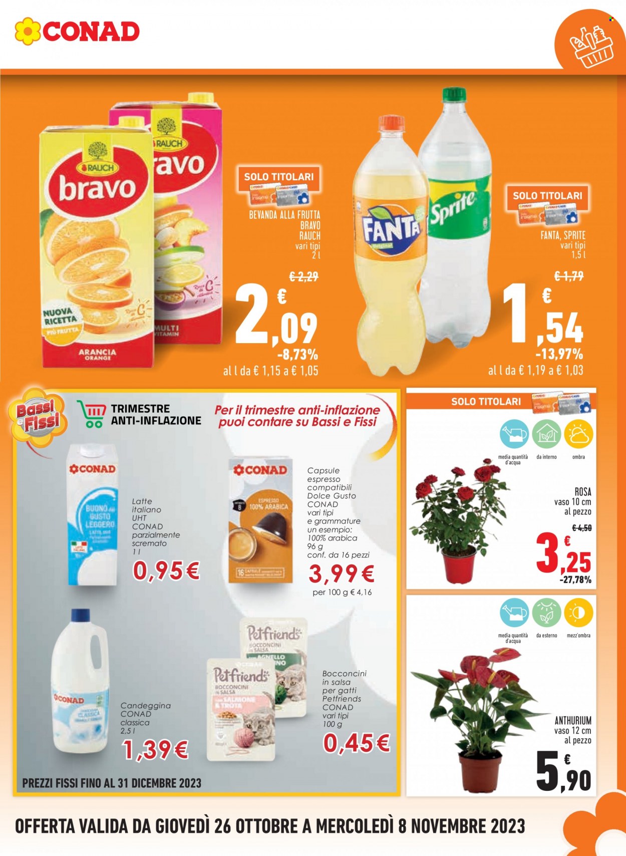 Leták Conad City - 26.10.2023 - 8.11.2023. Strana 17