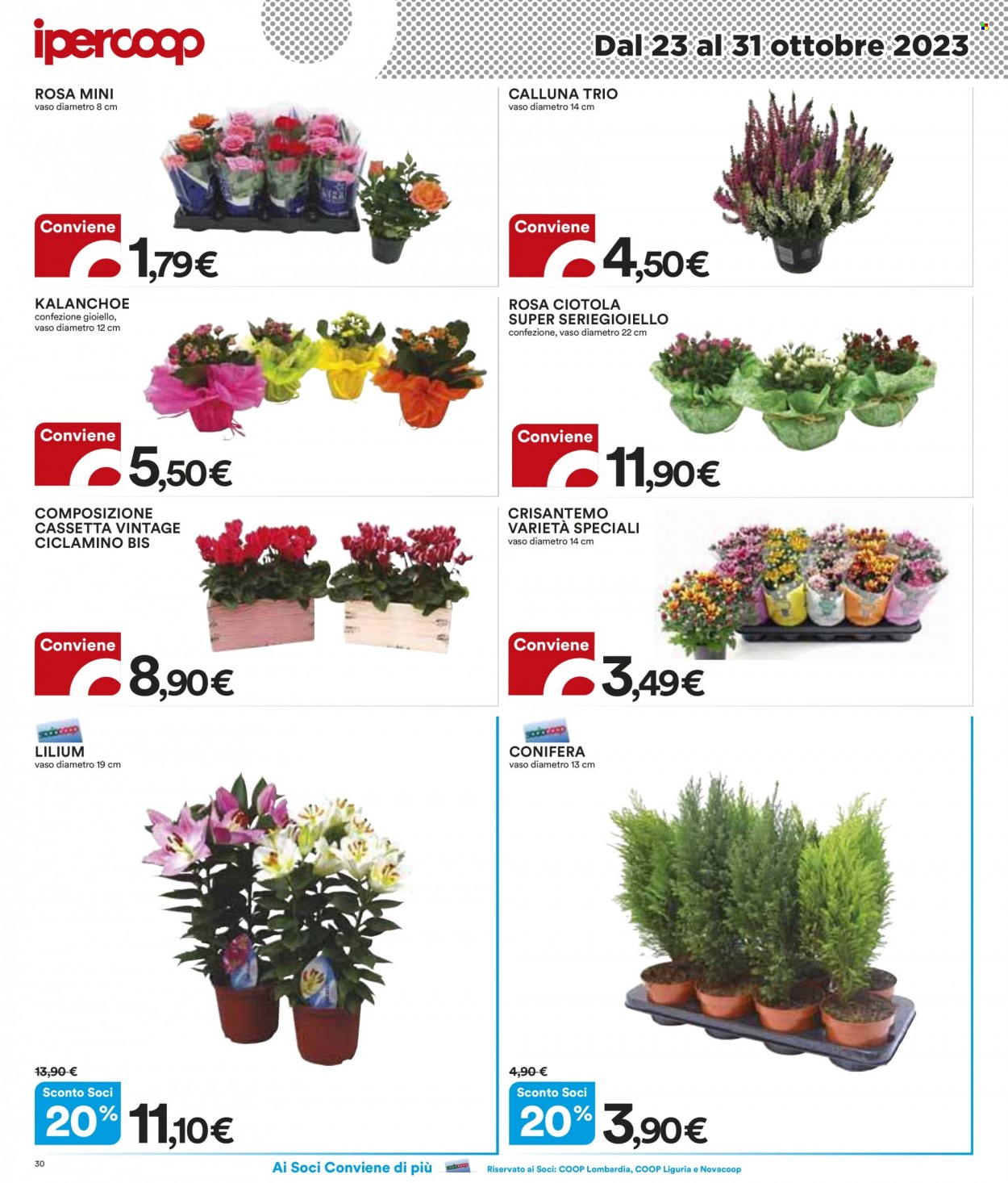 Volantino Coop - 23/10/2023 - 31/10/2023. Pagina 30