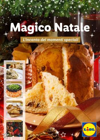 Volantino Lidl.