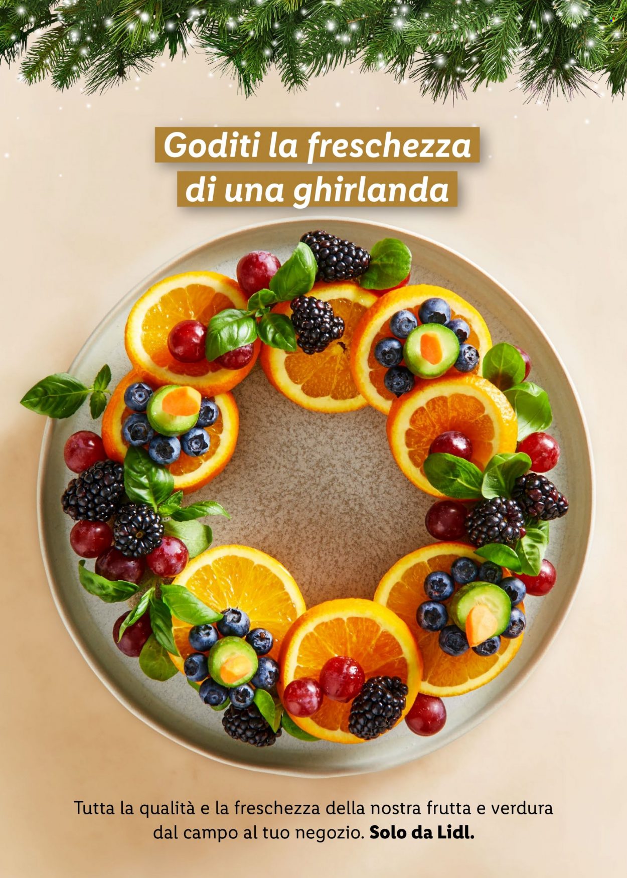 Volantino Lidl. Pagina 34
