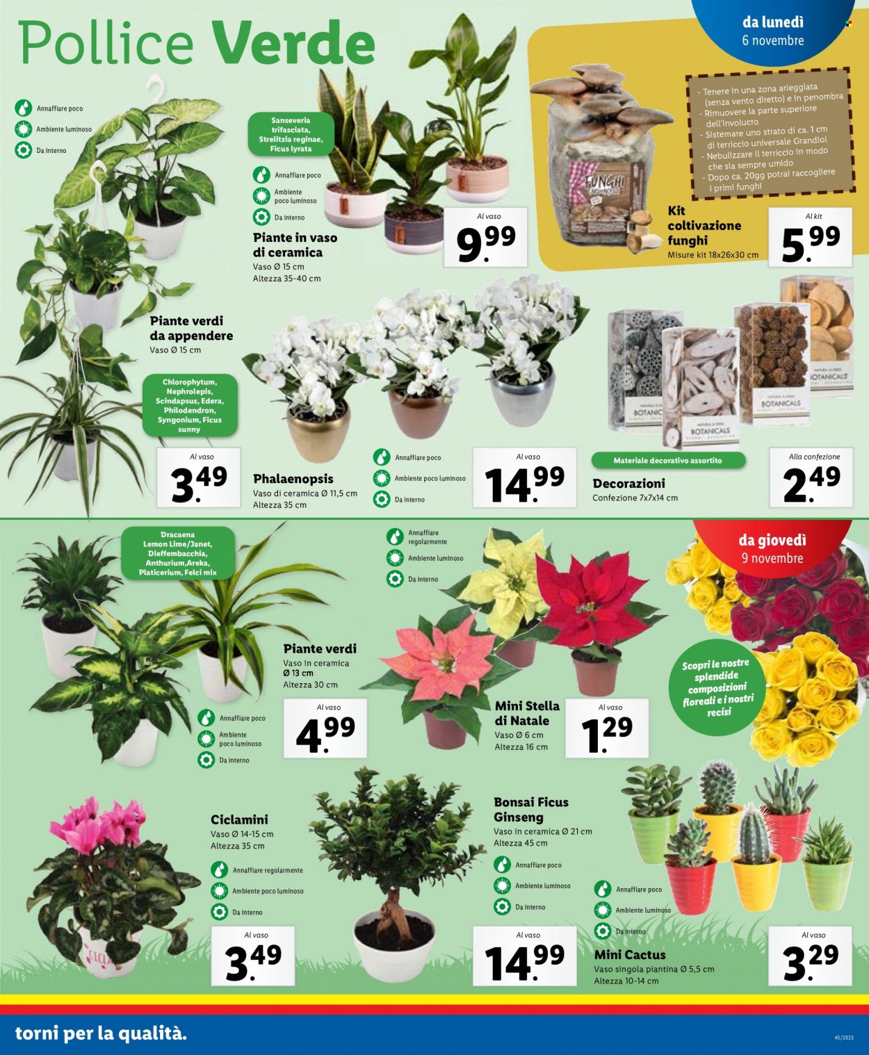 Volantino Lidl - 6/11/2023 - 12/11/2023. Pagina 27