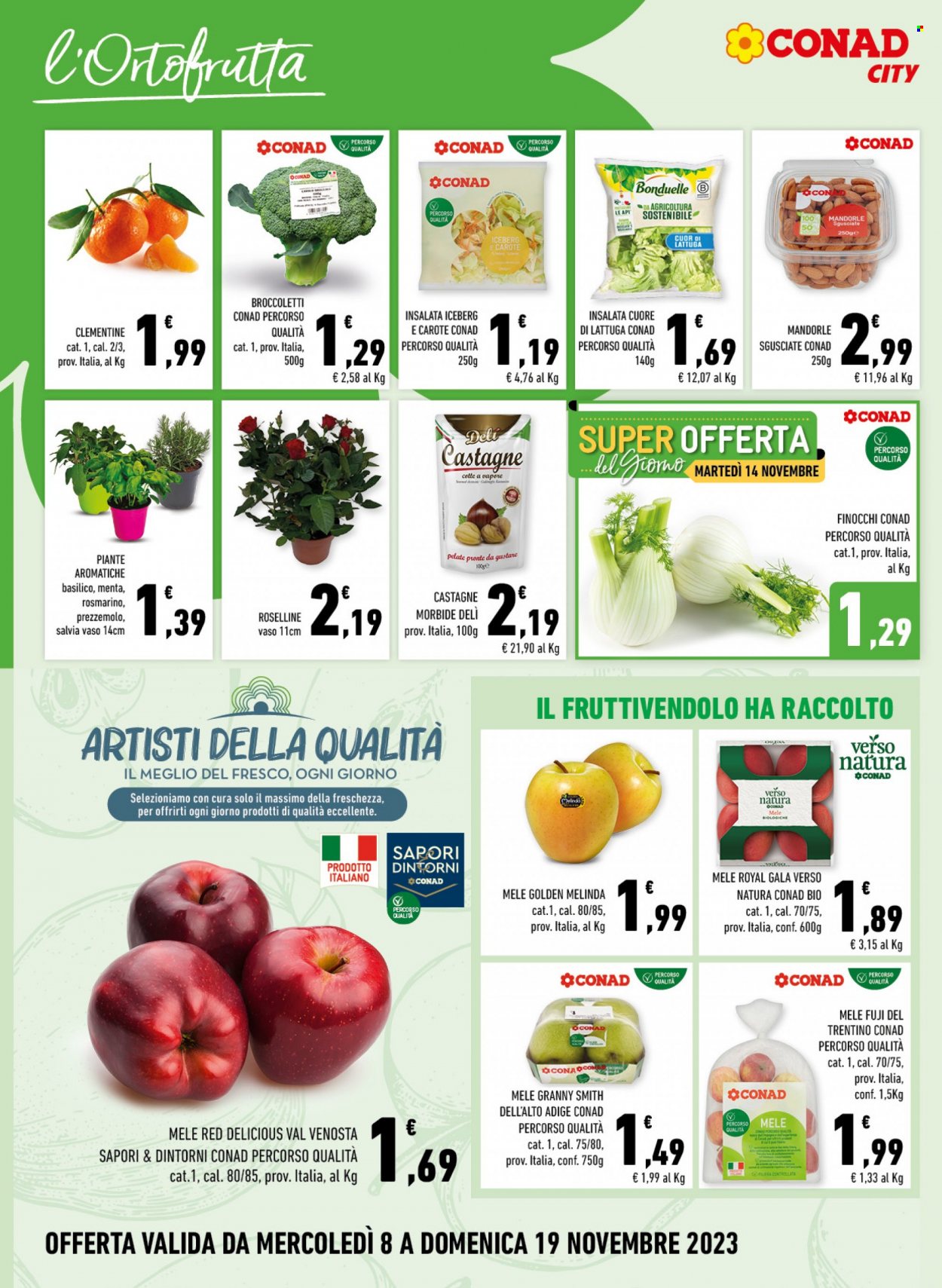 Volantino Conad City - 8/11/2023 - 19/11/2023. Pagina 4