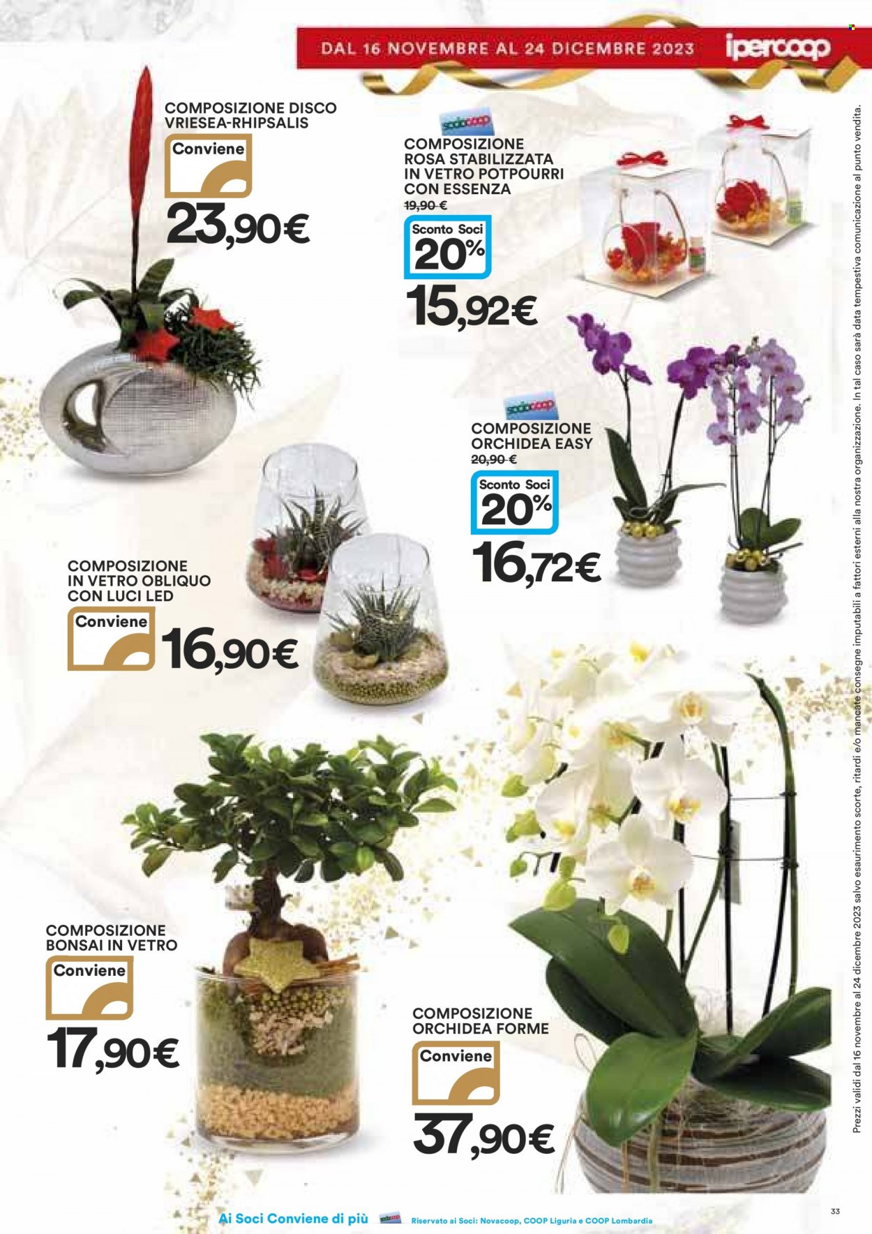 Leták Coop - 16.11.2023 - 24.12.2023. Strana 33