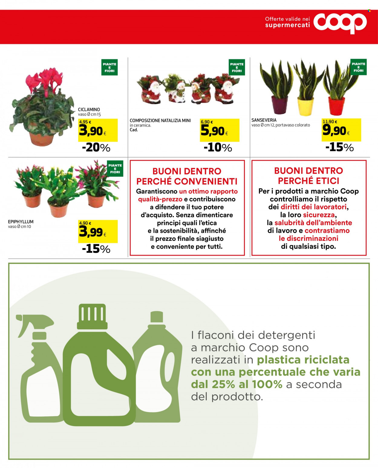 Leták Coop - 16.11.2023 - 29.11.2023. Strana 6