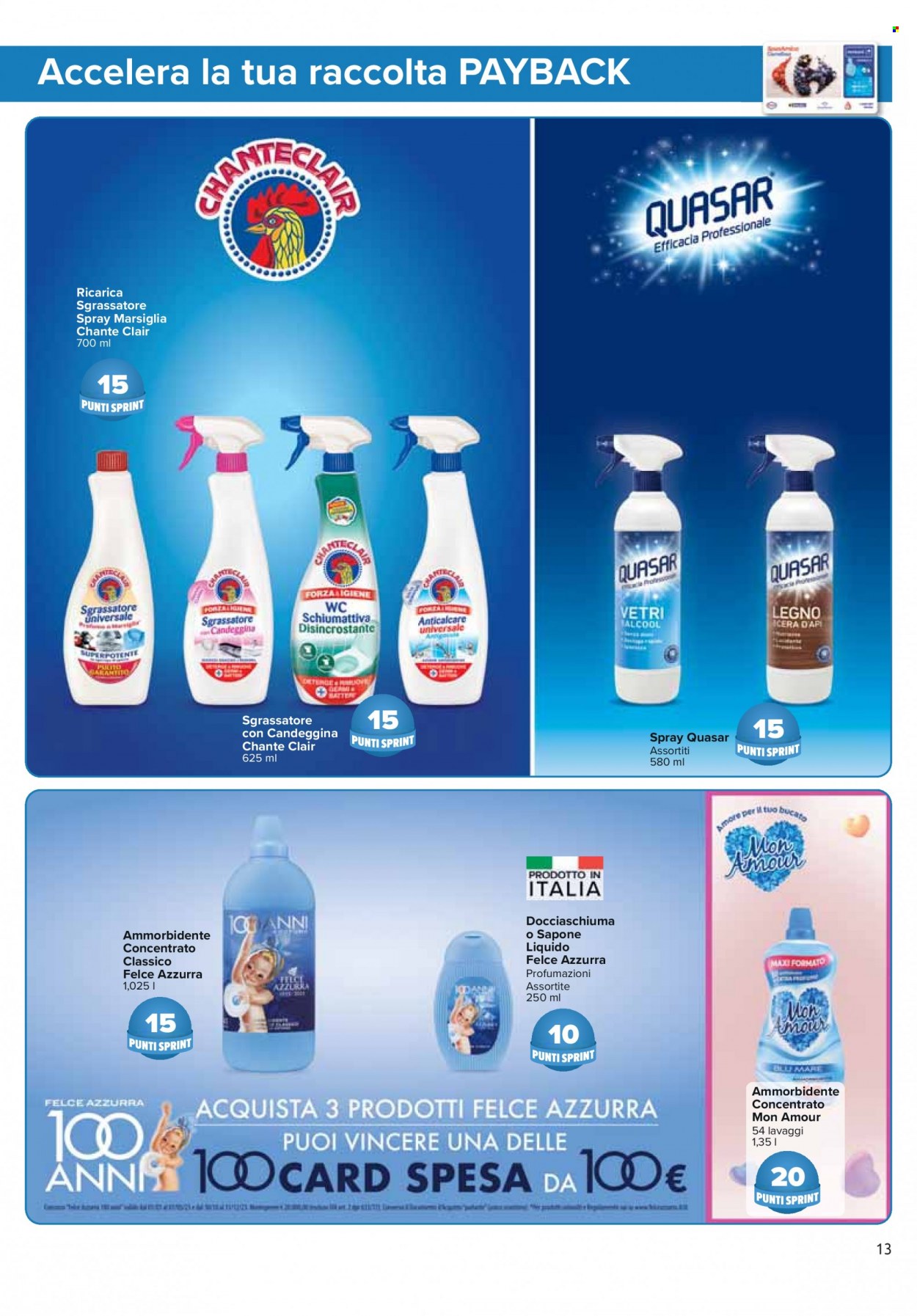 Volantino Carrefour - 1/12/2023 - 2/1/2024. Pagina 13