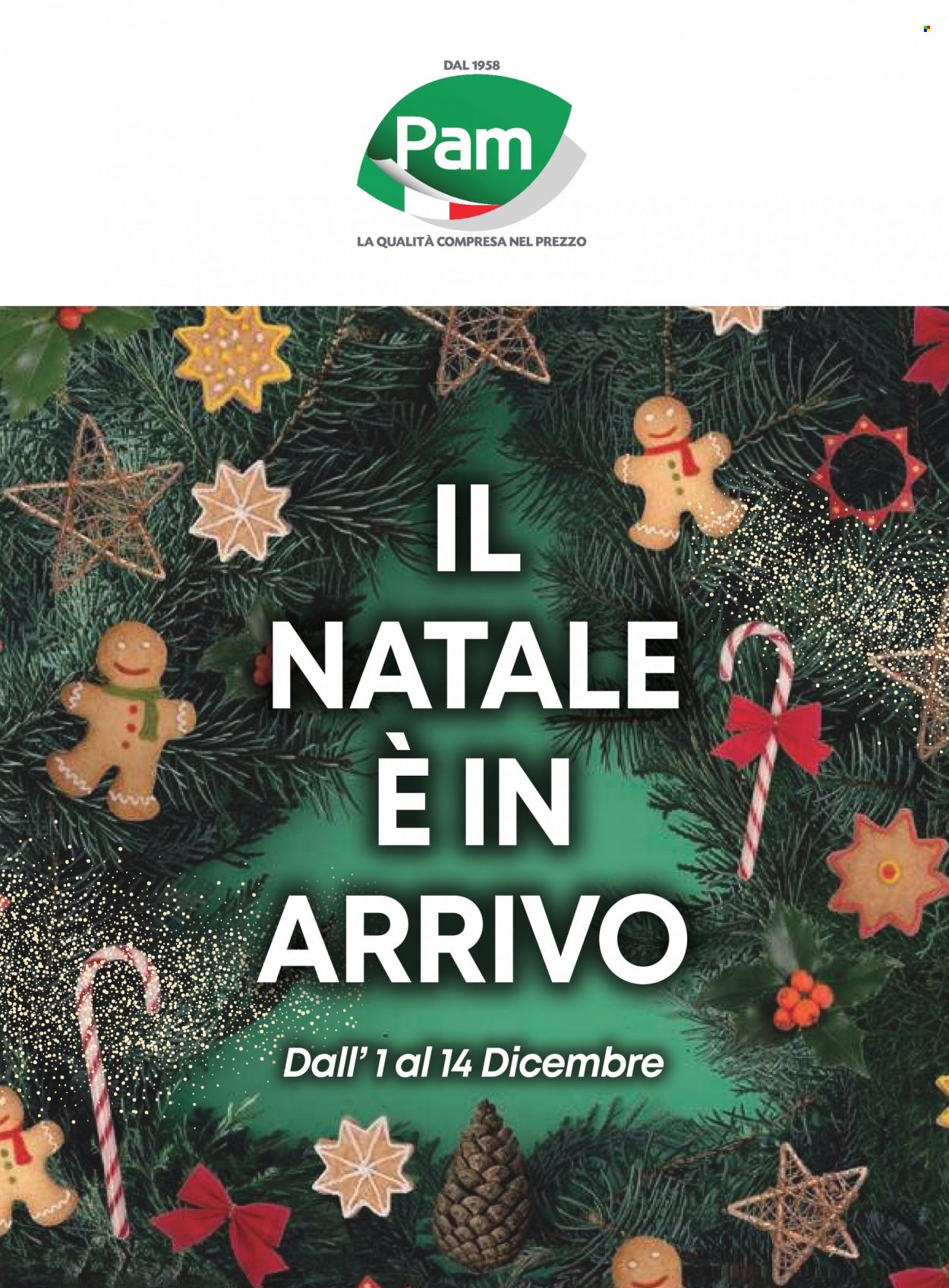 Volantino Pam Panorama - 1/12/2023 - 14/12/2023. Pagina 1