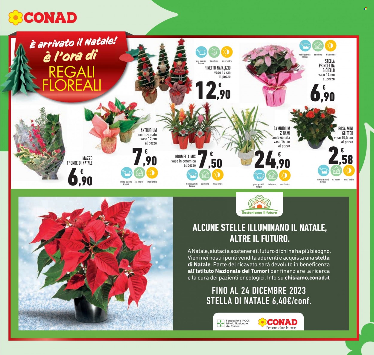 Volantino Conad - 4/12/2023 - 13/12/2023. Pagina 7