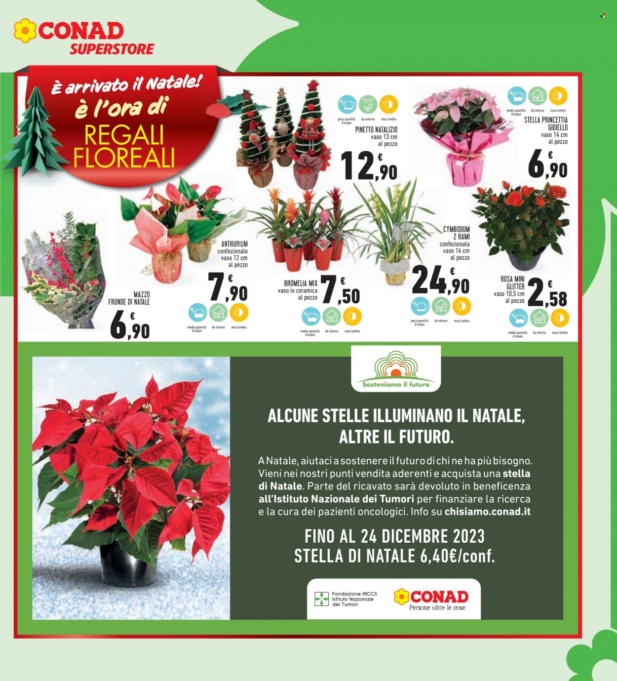 Volantino Conad Superstore - 4/12/2023 - 13/12/2023. Pagina 11