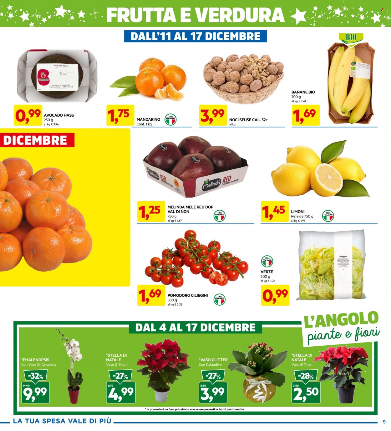 Volantino Dpiù - 4/12/2023 - 17/12/2023. Pagina 9