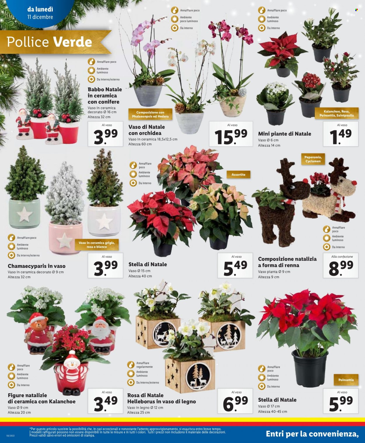 Volantino Lidl - 11/12/2023 - 17/12/2023. Pagina 18
