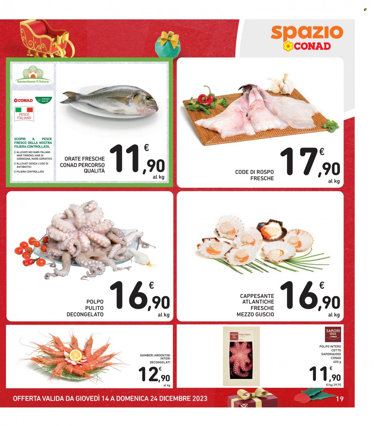 Volantino Spazio Conad - 14/12/2023 - 24/12/2023. Pagina 19