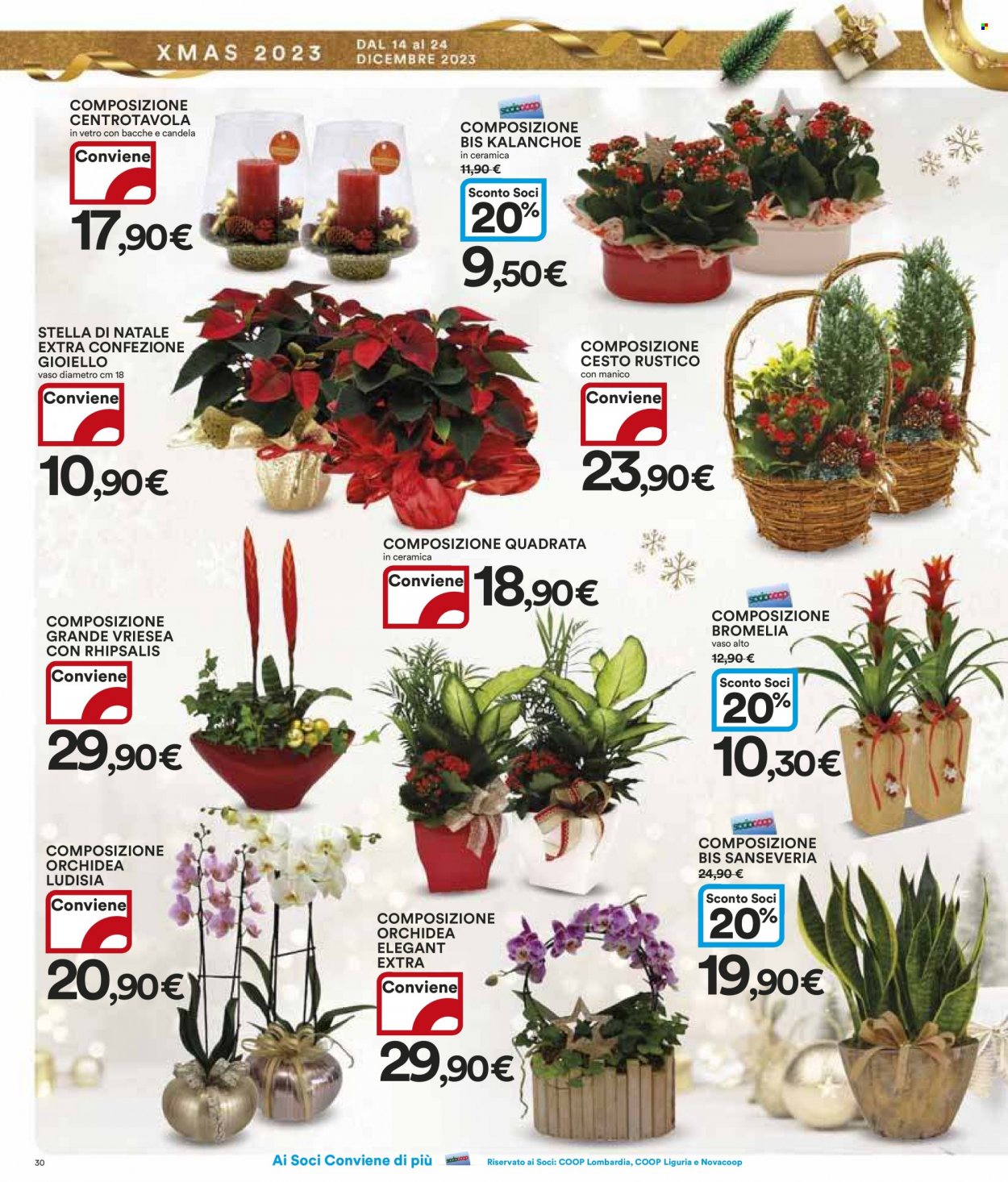 Volantino Coop - 14/12/2023 - 24/12/2023. Pagina 30