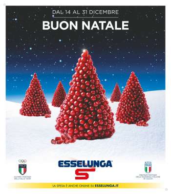 Volantino Esselunga - 14/12/2023 - 31/12/2023.