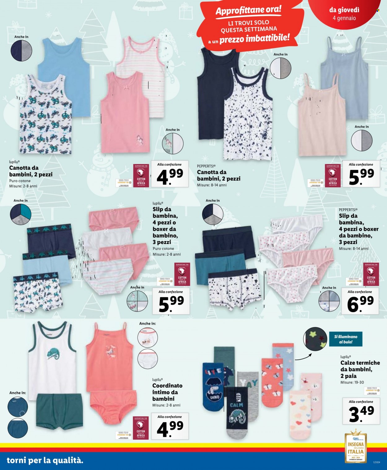 Volantino Lidl - 2/1/2024 - 7/1/2024. Pagina 29