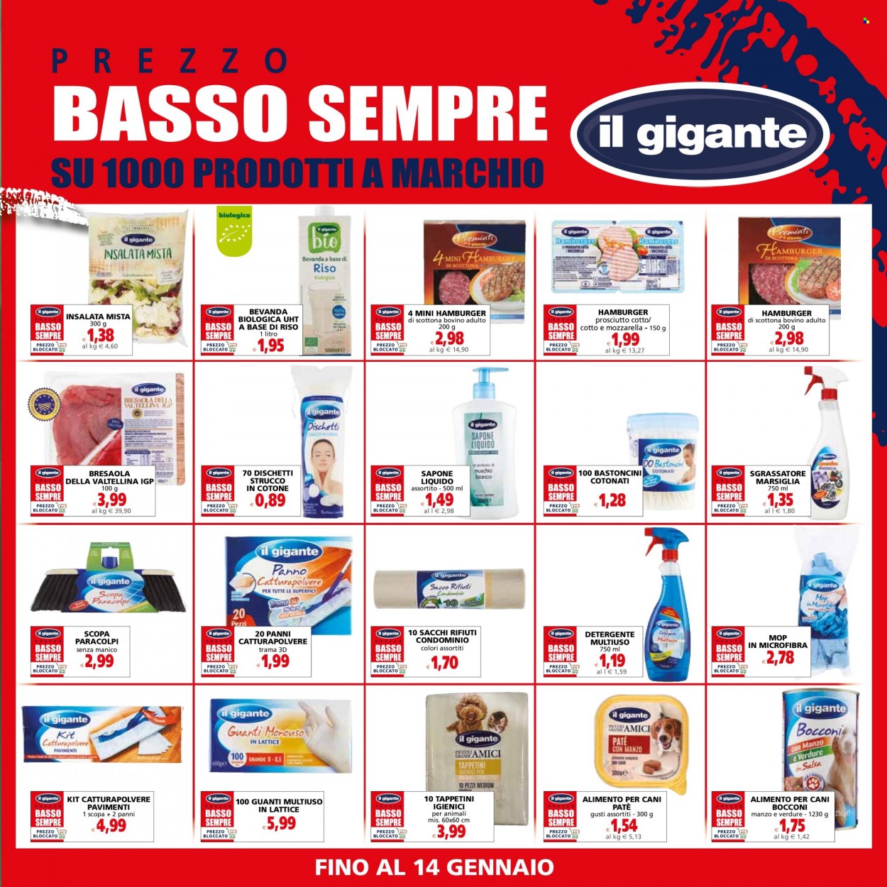 Volantino Il Gigante - 1/1/2024 - 14/1/2024. Pagina 9