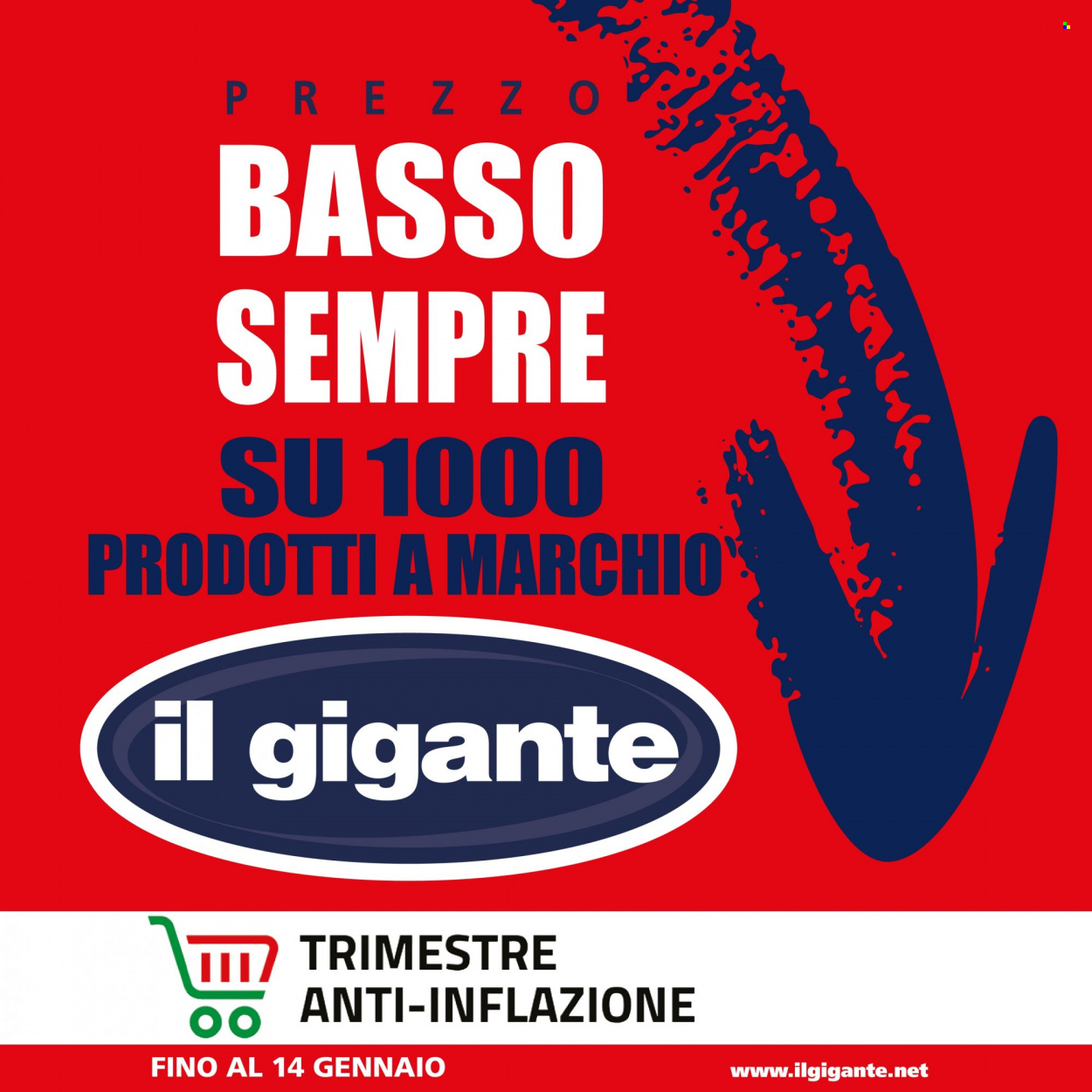 Volantino Il Gigante - 1/1/2024 - 14/1/2024. Pagina 10
