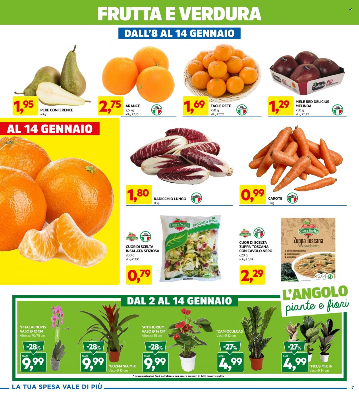 Volantino Dpiù - 2/1/2024 - 14/1/2024. Pagina 7