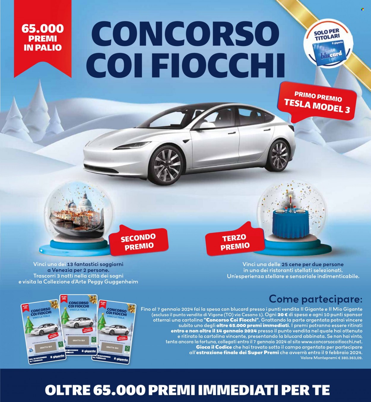 Volantino Il Gigante - 2/1/2024 - 10/1/2024. Pagina 13