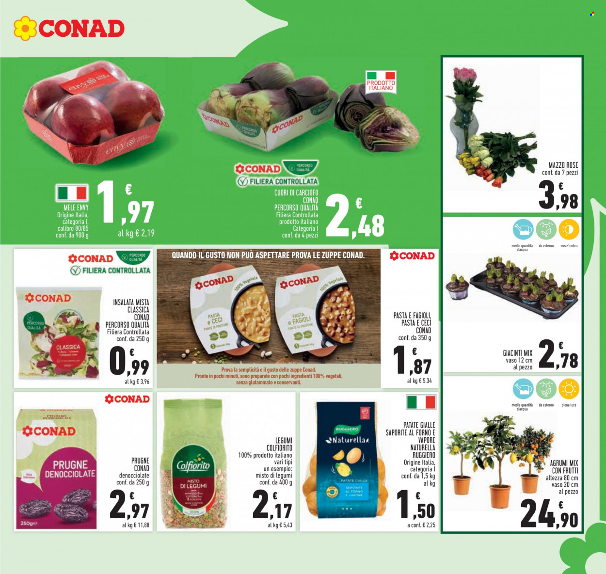 Volantino Conad - 11/1/2024 - 24/1/2024. Pagina 7