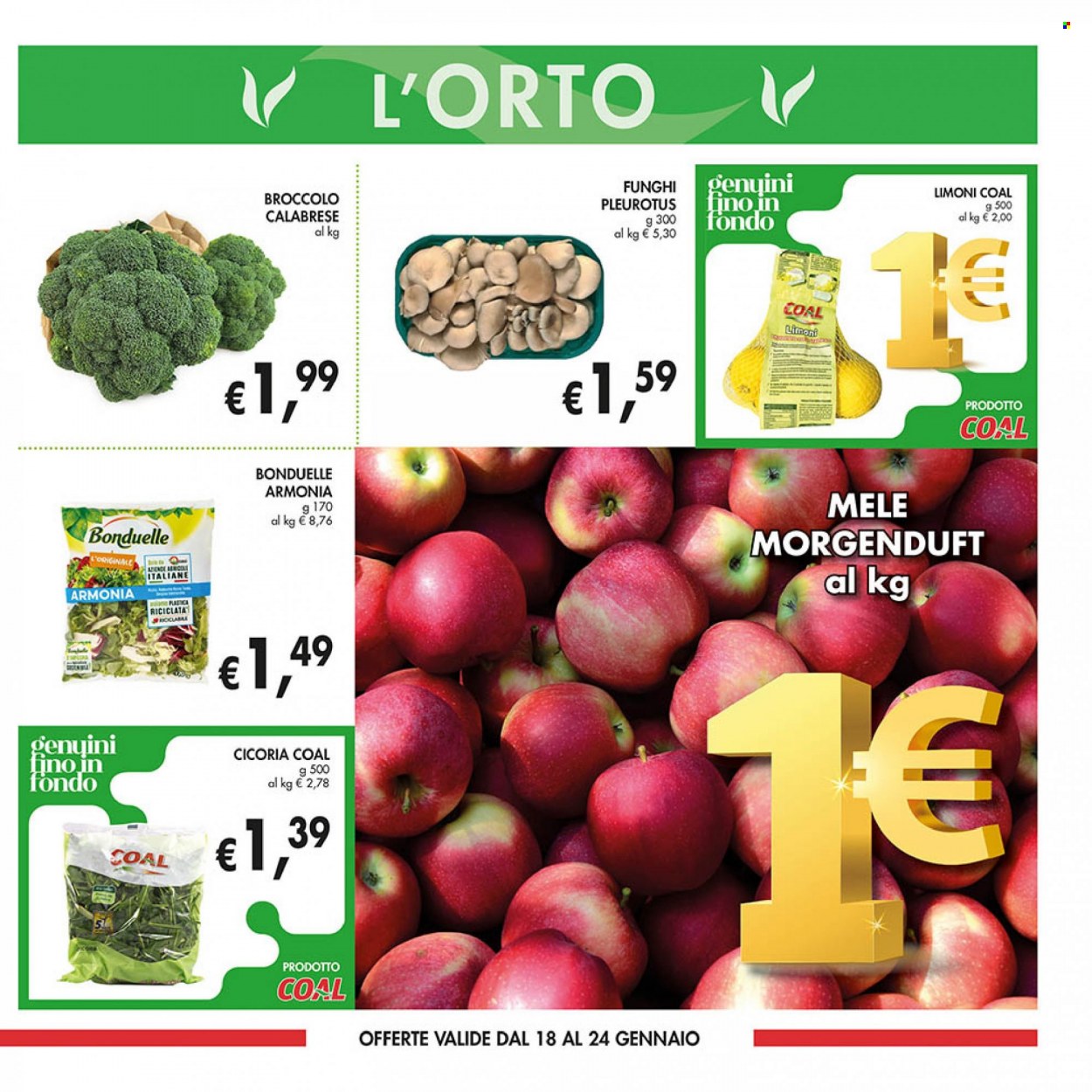 Volantino COAL - 11/1/2024 - 24/1/2024. Pagina 9