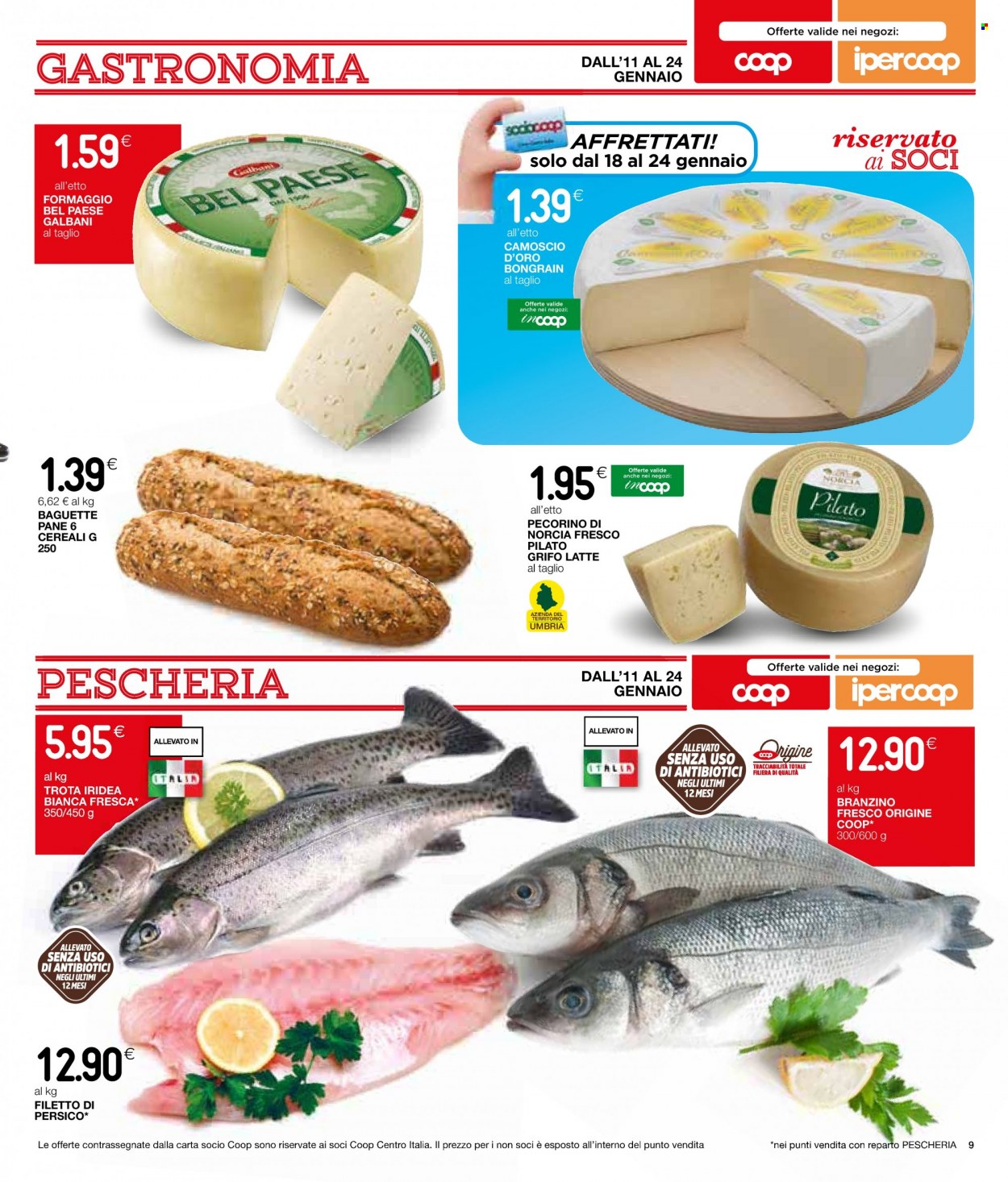 Leták Coop - 11.1.2024 - 24.1.2024. Strana 11