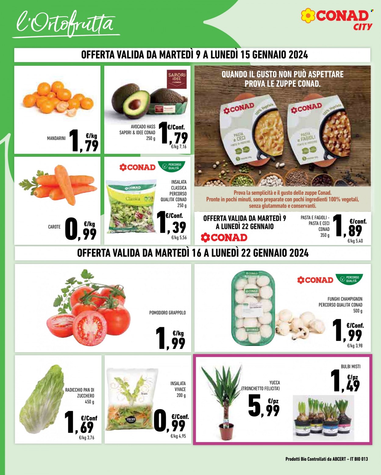 Leták Conad - 9.1.2024 - 22.1.2024. Strana 4