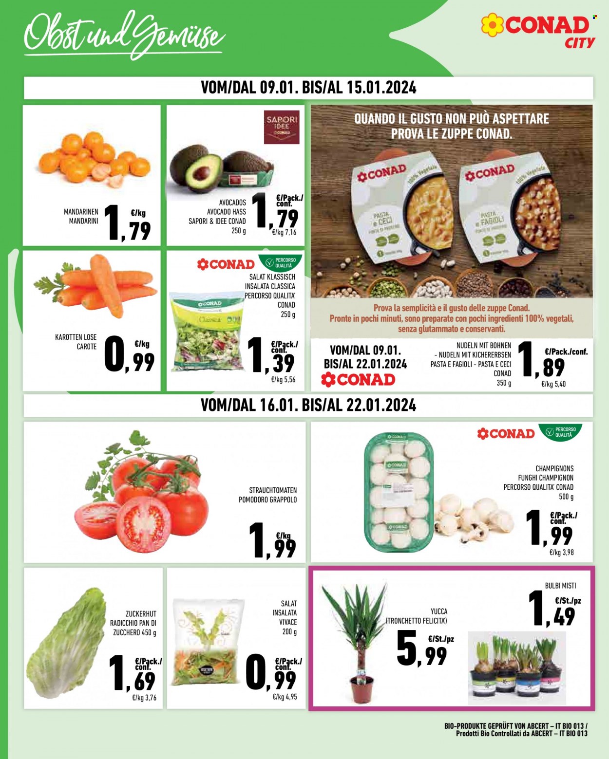 Leták Conad City - 9.1.2024 - 22.1.2024. Strana 4