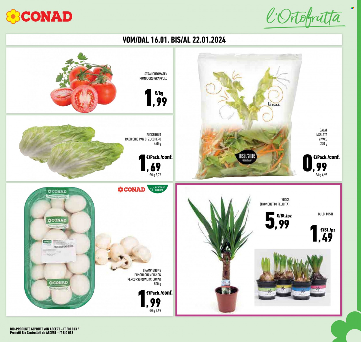 Volantino Conad - 9/1/2024 - 22/1/2024. Pagina 3