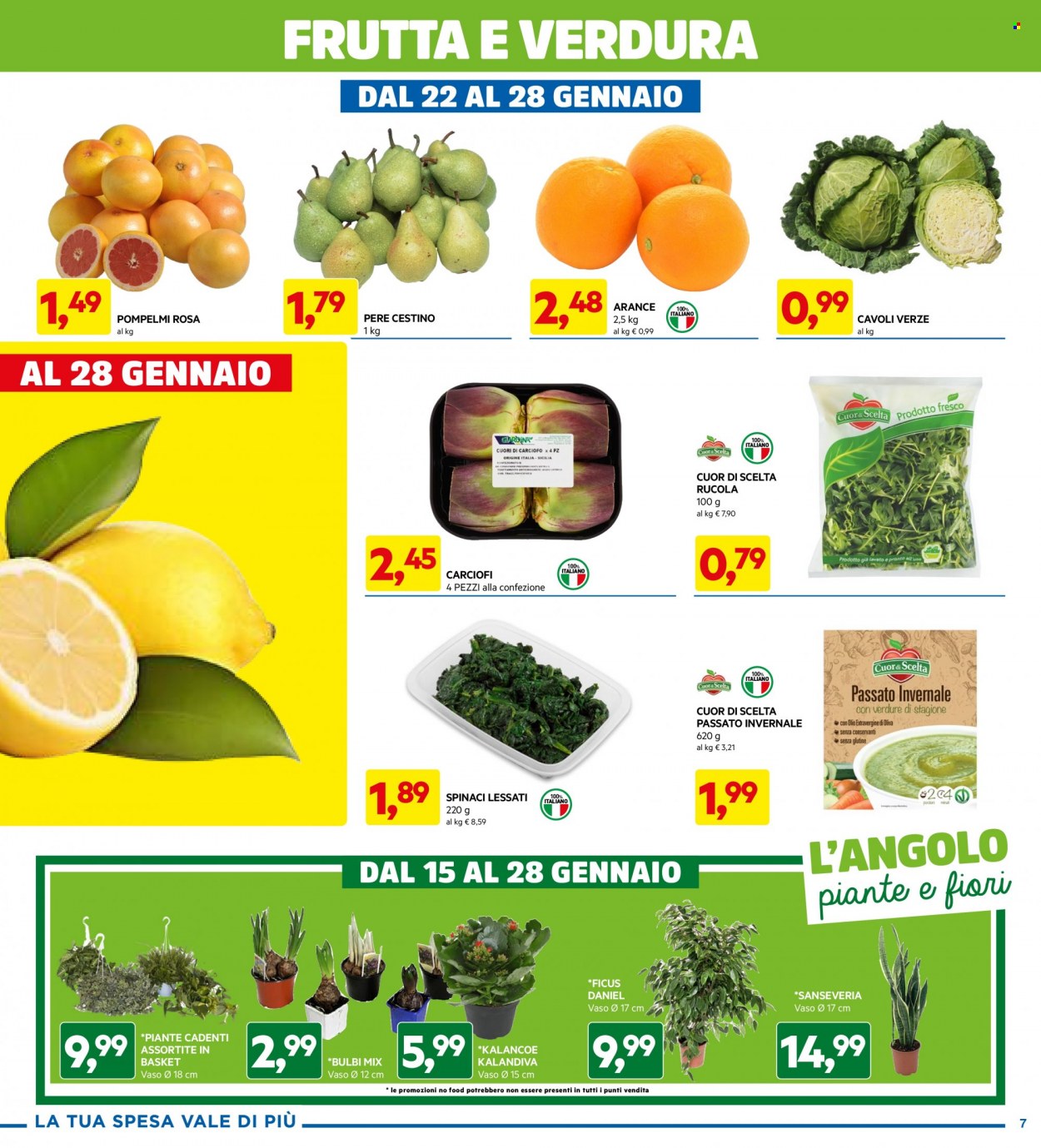 Volantino Dpiù - 15/1/2024 - 28/1/2024. Pagina 7