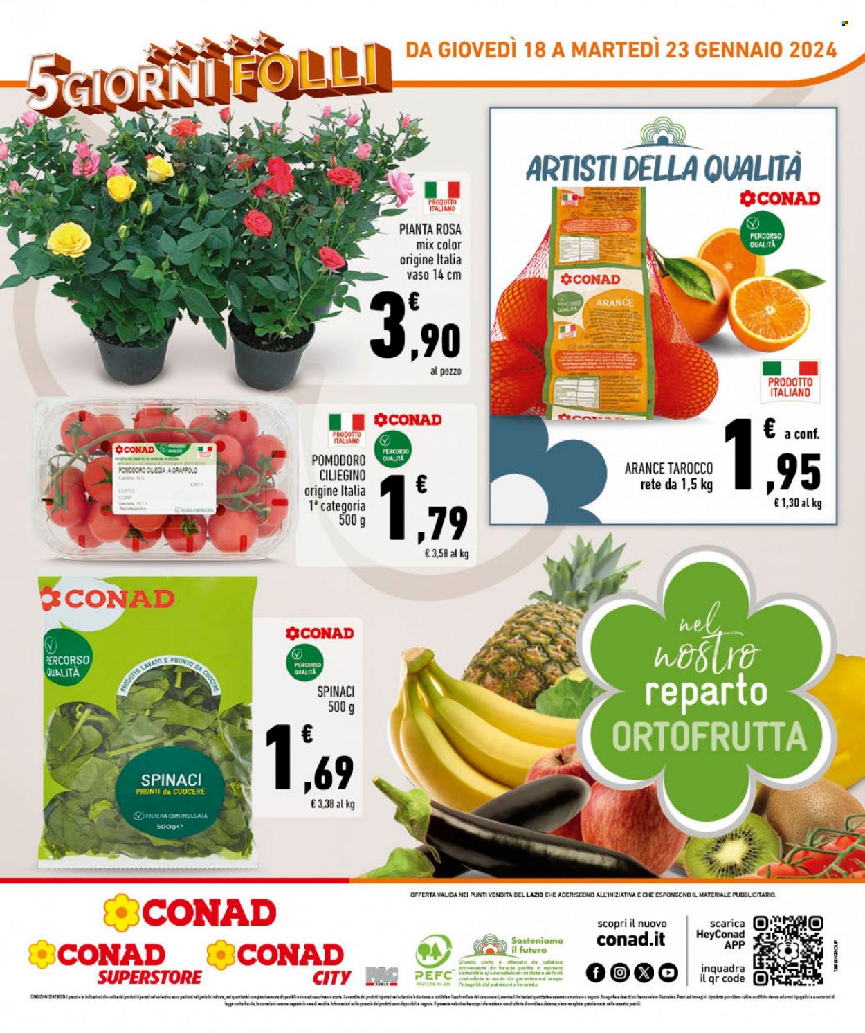 Volantino Conad - 19/1/2024 - 23/1/2024. Pagina 8
