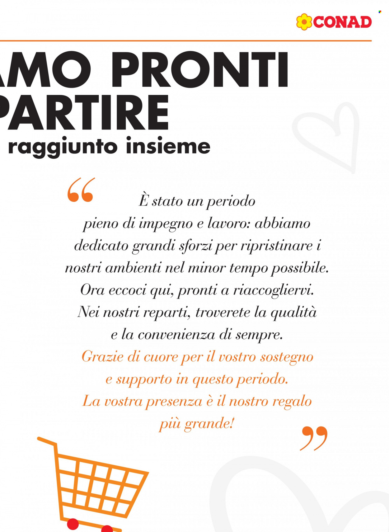 Volantino Conad City - 25/1/2024 - 7/2/2024. Pagina 3