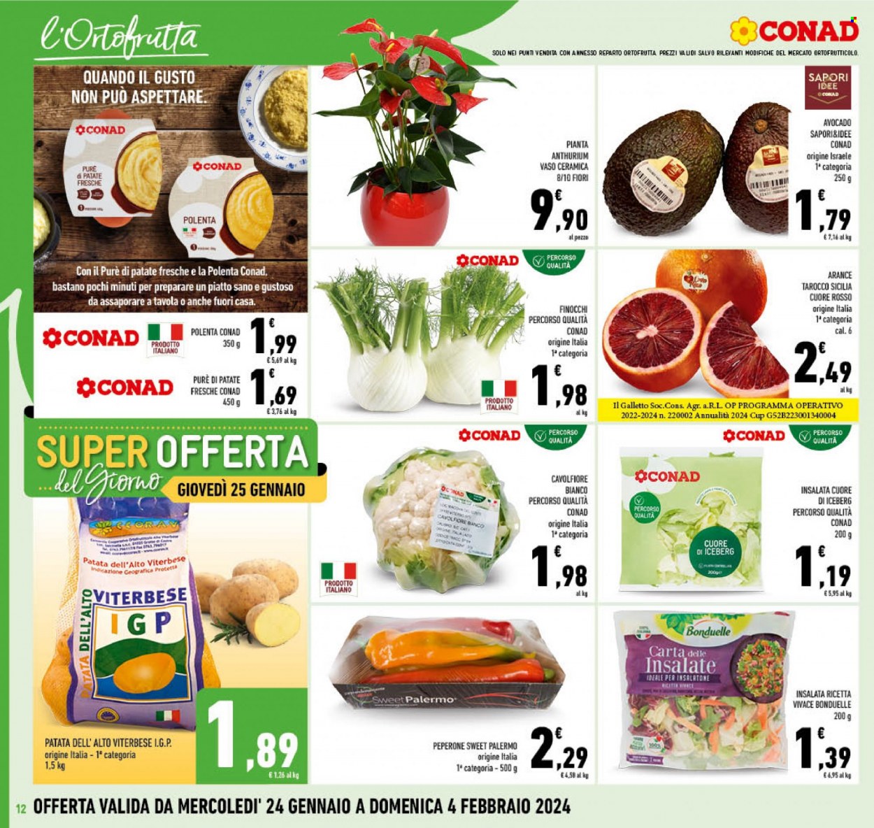 Leták Conad - 24.1.2024 - 4.2.2024. Strana 12