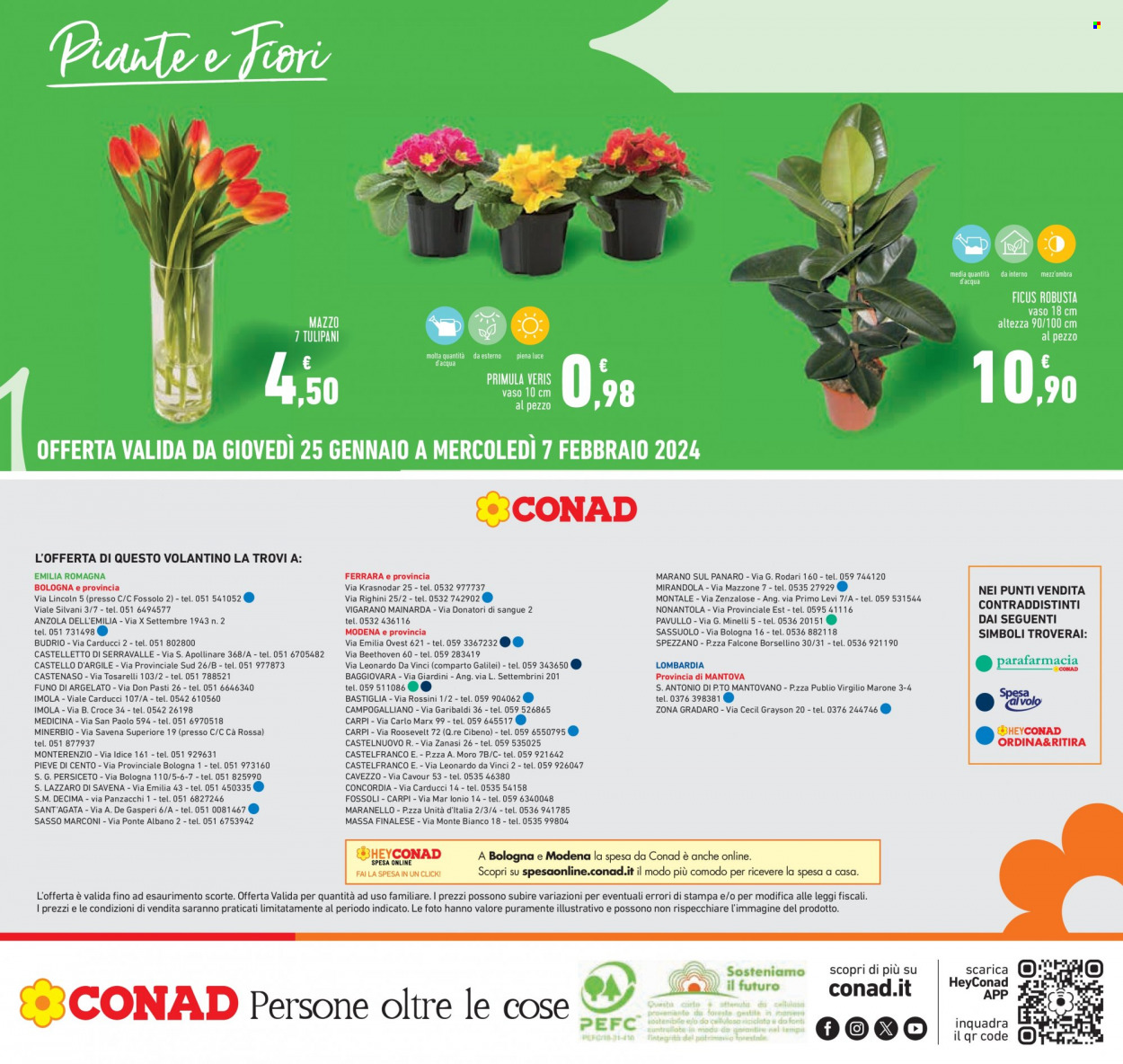 Leták Conad - 25.1.2024 - 7.2.2024. Strana 28