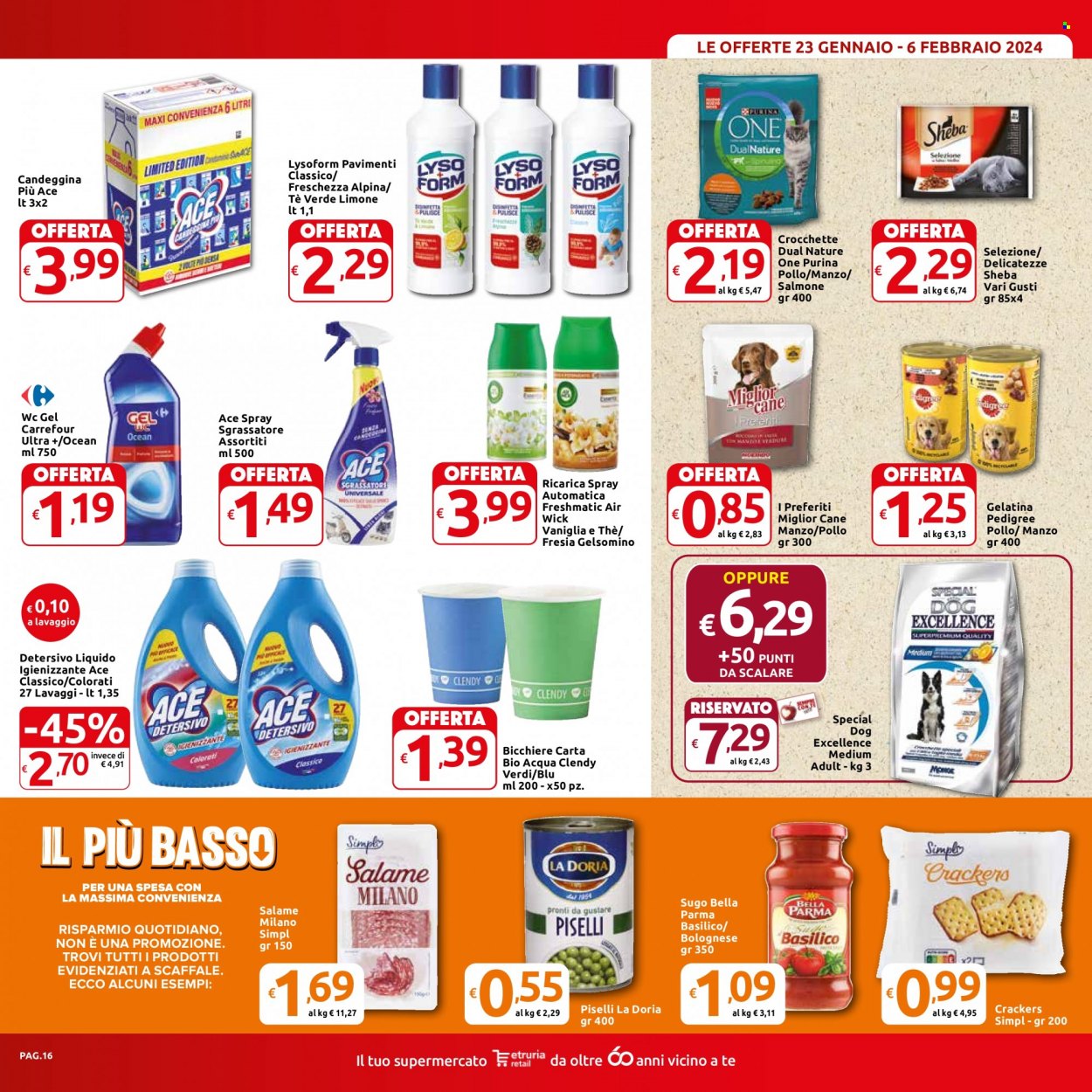 Volantino Carrefour - 23/1/2024 - 6/2/2024. Pagina 16