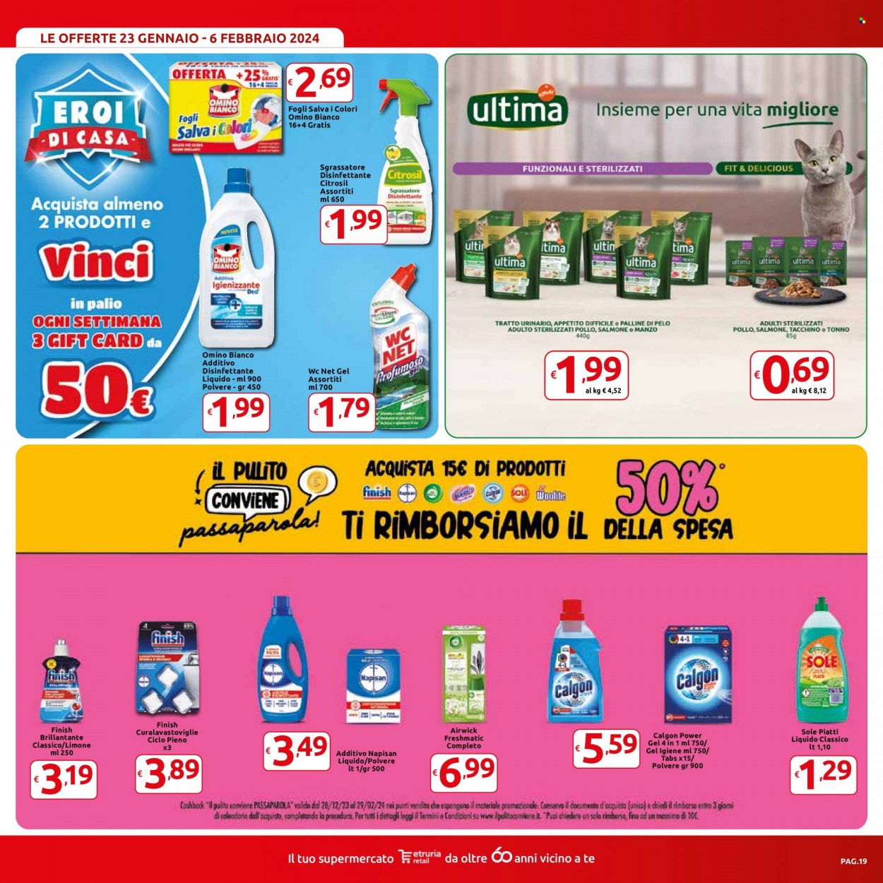 Volantino Carrefour - 23/1/2024 - 6/2/2024. Pagina 19