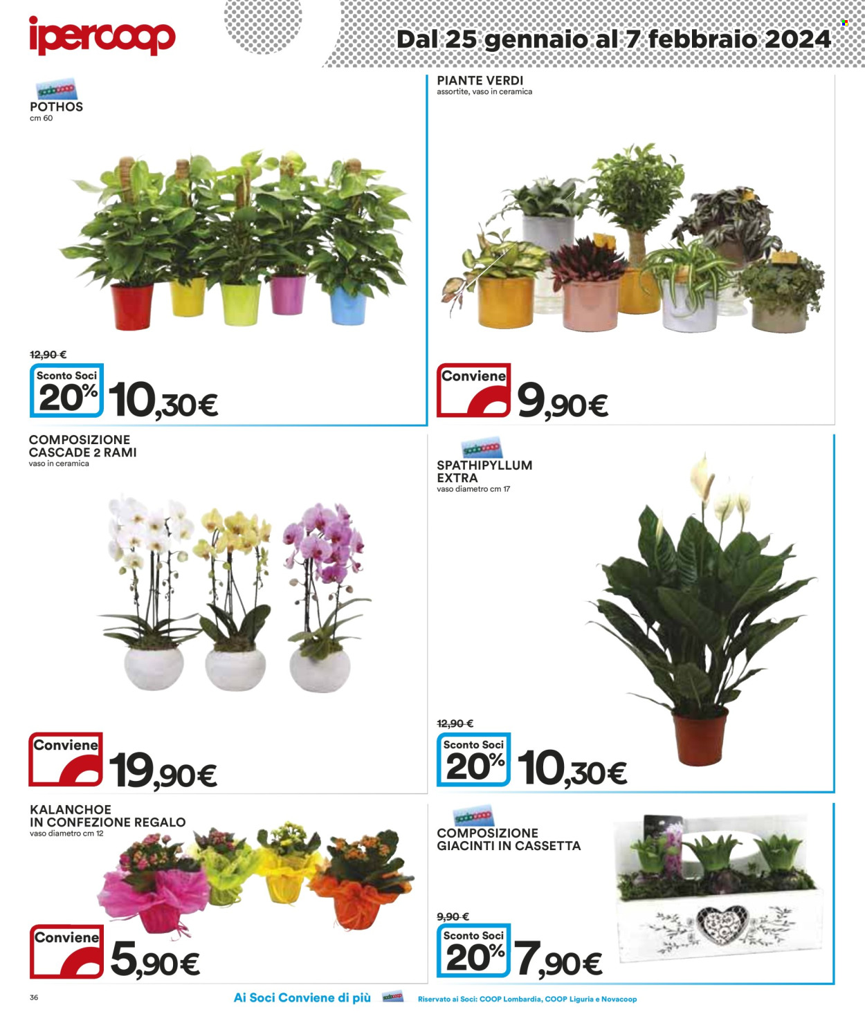 Volantino Coop - 25/1/2024 - 7/2/2024. Pagina 36