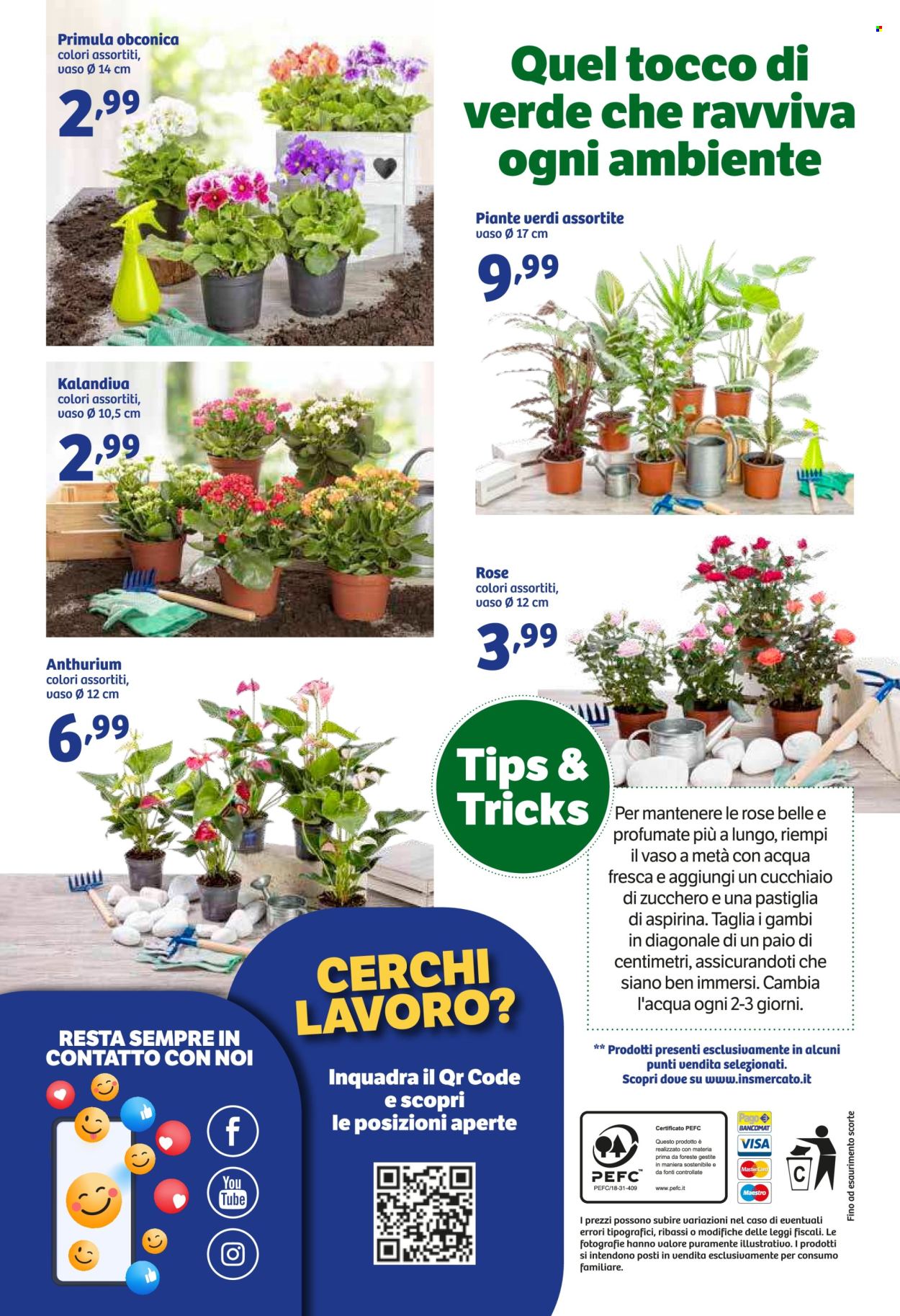 Volantino iN's Mercato - 31/1/2024 - 11/2/2024. Pagina 24