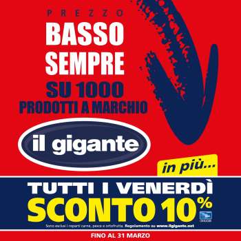 Volantino Il Gigante - 2/2/2024 - 31/3/2024.