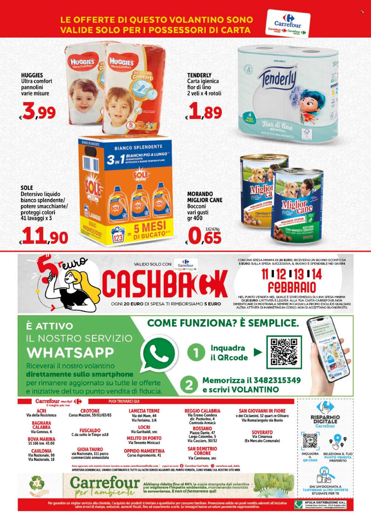 Volantino Carrefour - 1/2/2024 - 10/2/2024. Pagina 48