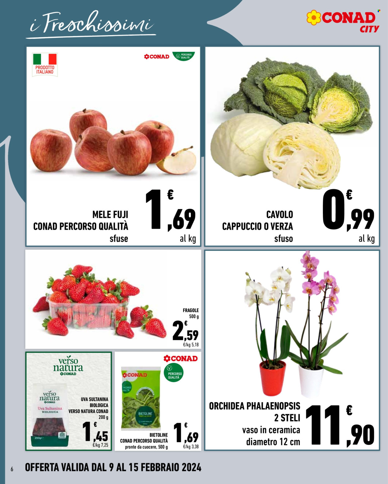 Leták Conad City - 9.2.2024 - 15.2.2024. Strana 6