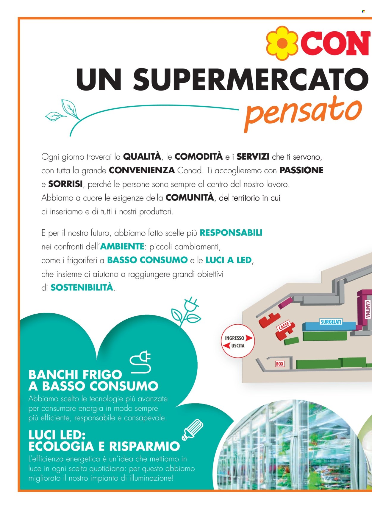 Volantino Conad City - 15/2/2024 - 20/2/2024. Pagina 2