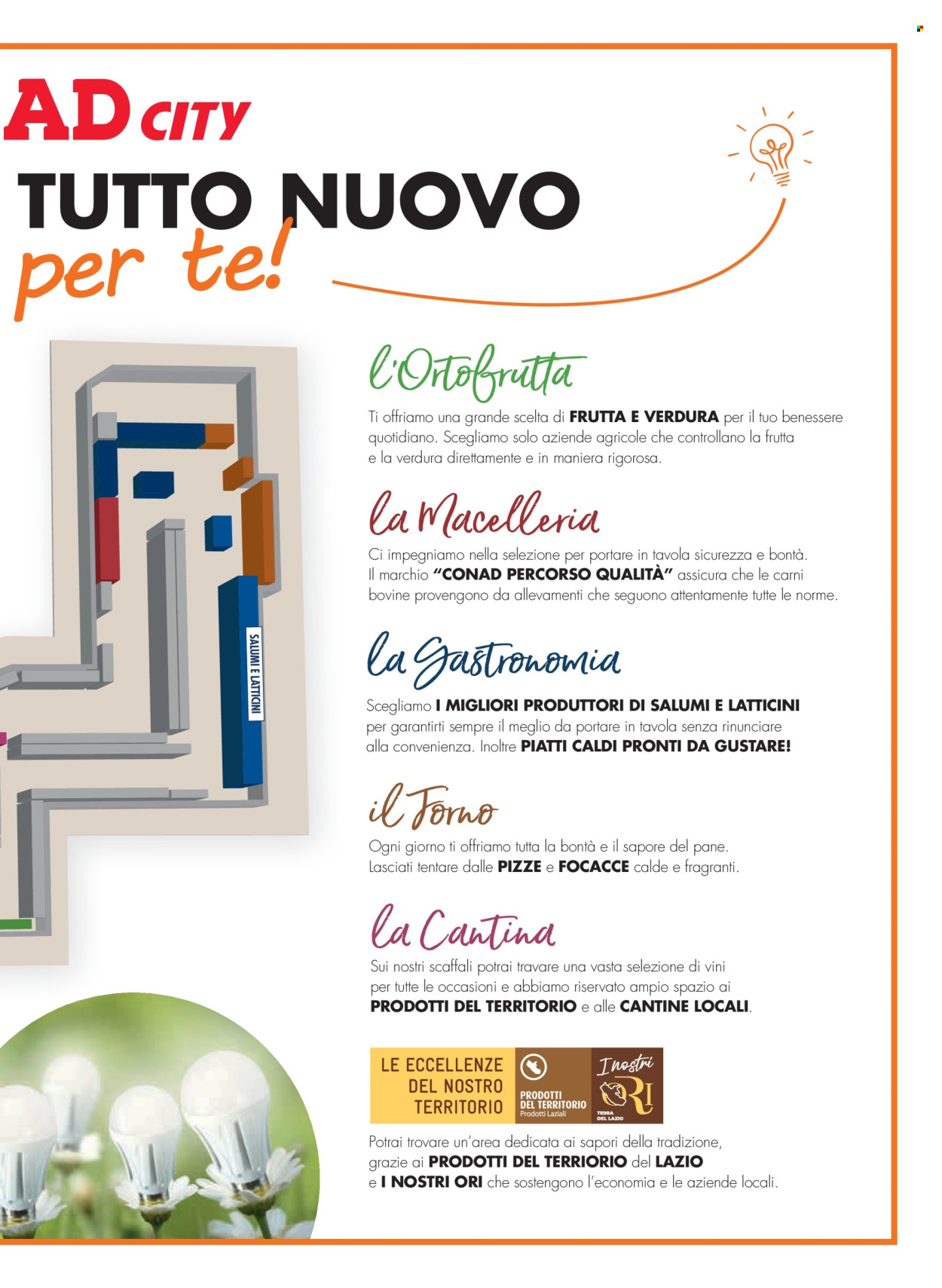 Volantino Conad City - 15/2/2024 - 20/2/2024. Pagina 3