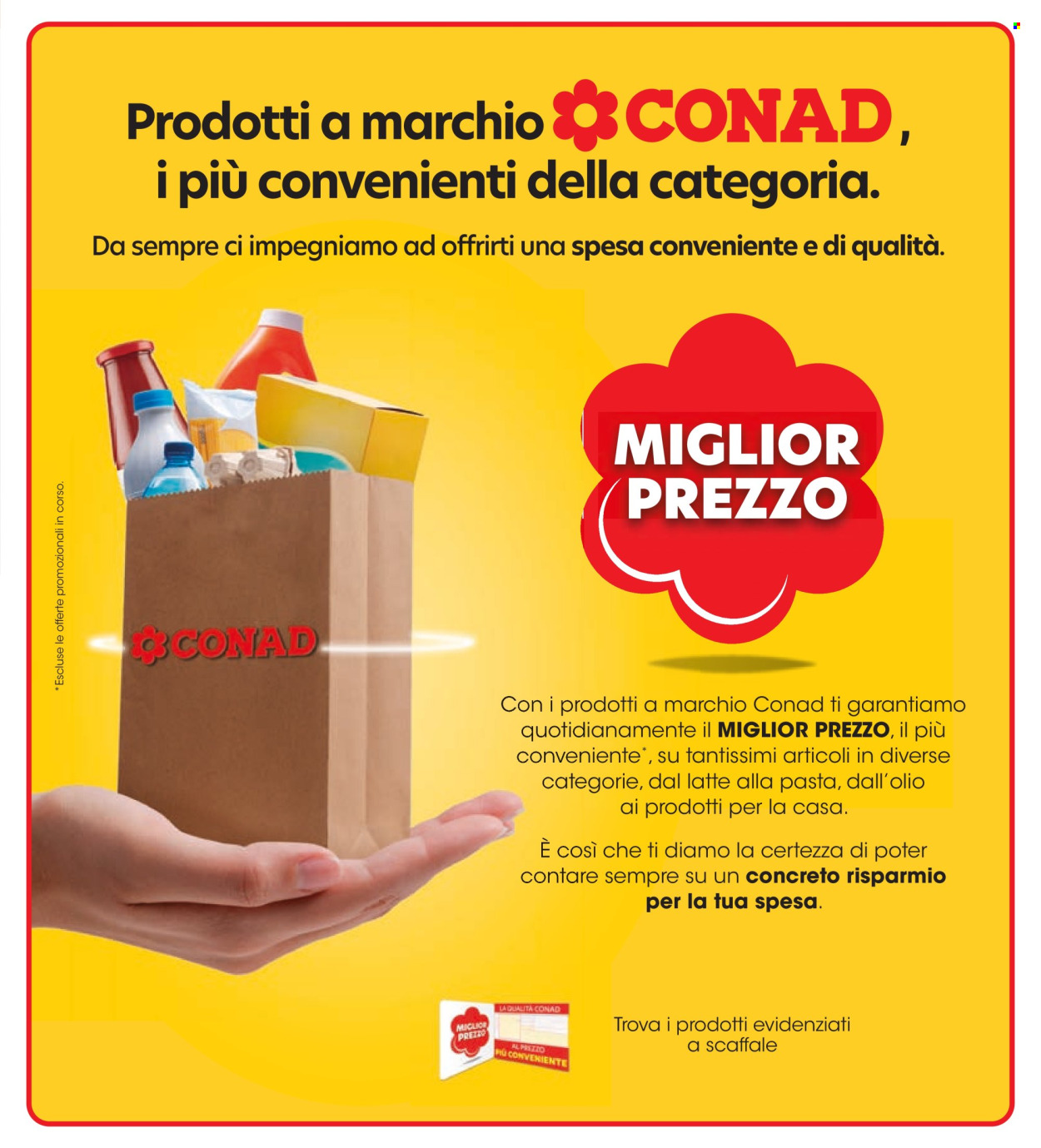 Volantino Spazio Conad - 19/2/2024 - 29/2/2024. Pagina 33