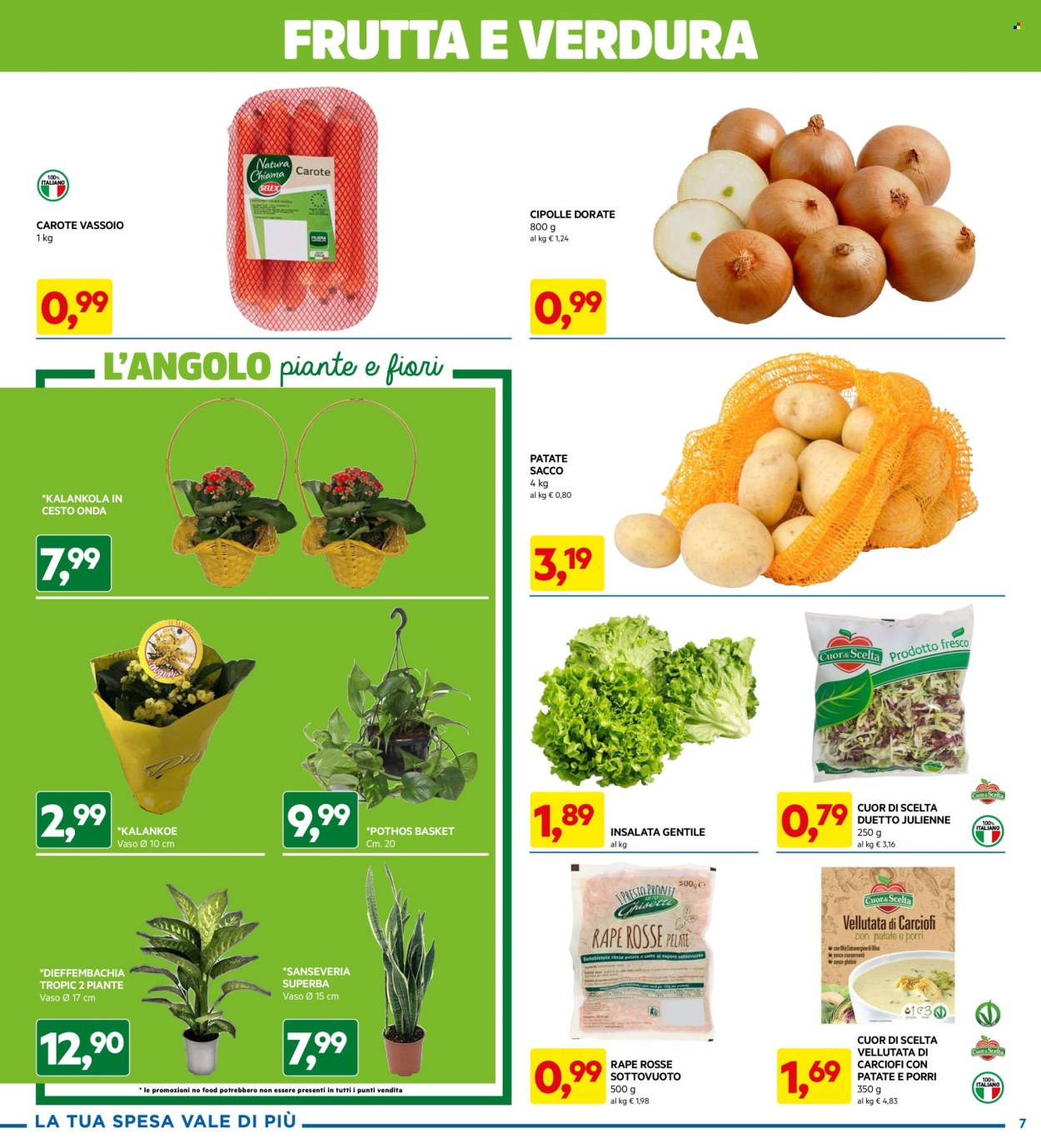 Volantino Dpiù - 26/2/2024 - 6/3/2024. Pagina 7