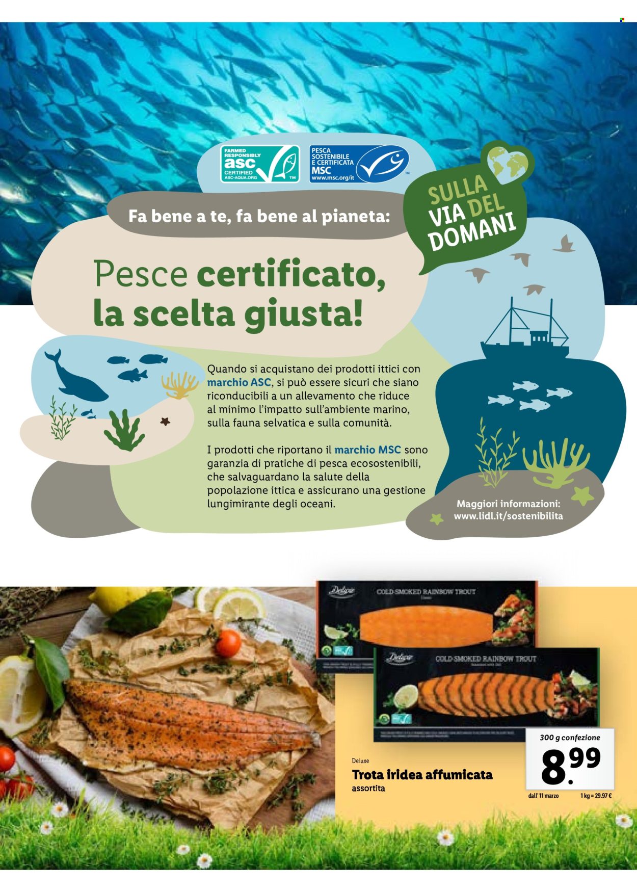 Volantino Lidl. Pagina 25