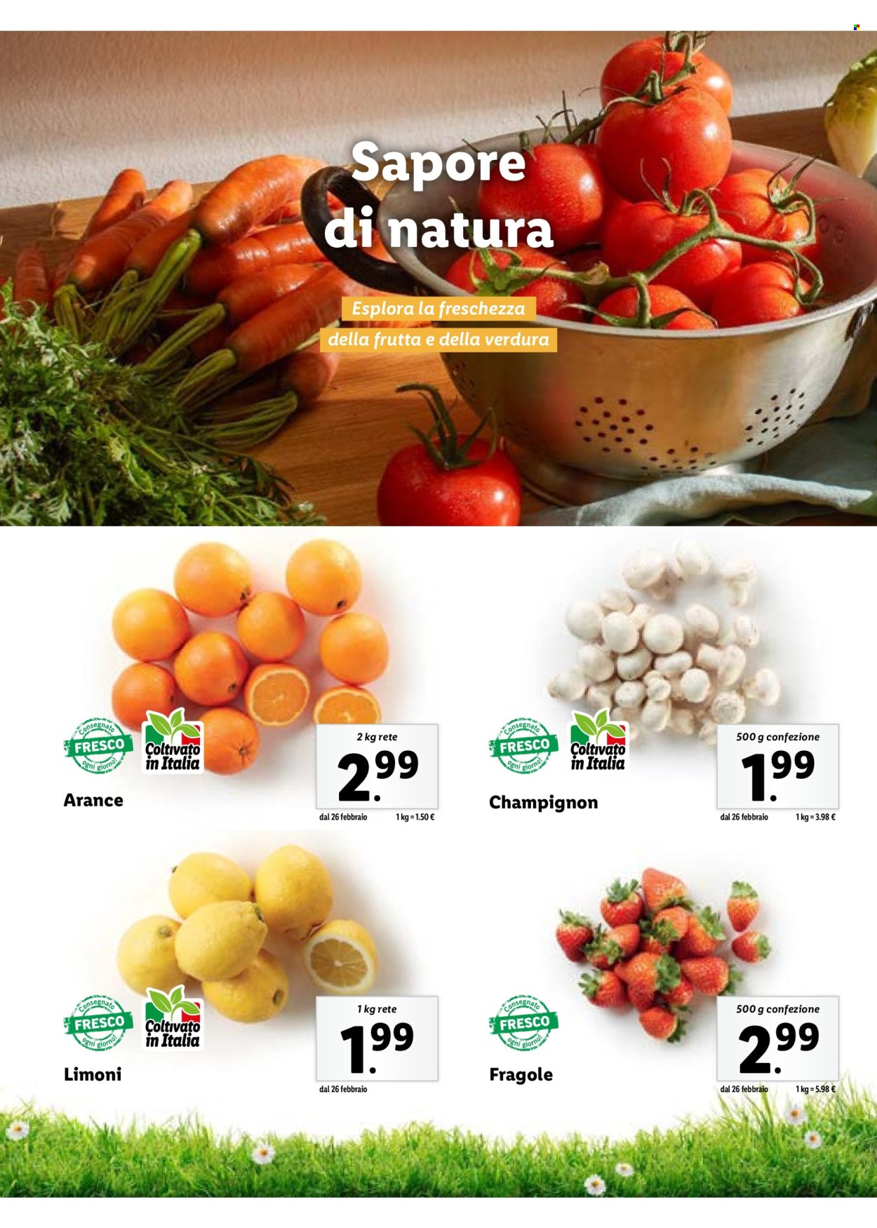 Volantino Lidl. Pagina 58